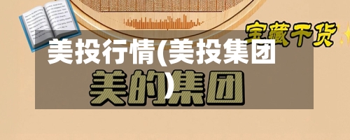 美投行情(美投集团)-第3张图片