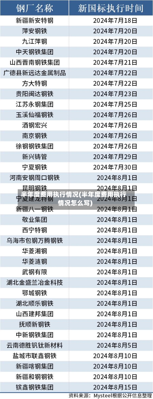 半年度费用执行情况(半年度费用执行情况怎么写)