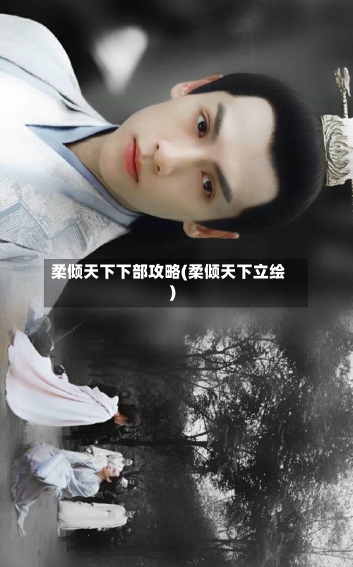 柔倾天下下部攻略(柔倾天下立绘)