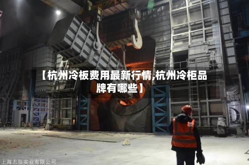 【杭州冷板费用最新行情,杭州冷柜品牌有哪些】-第2张图片