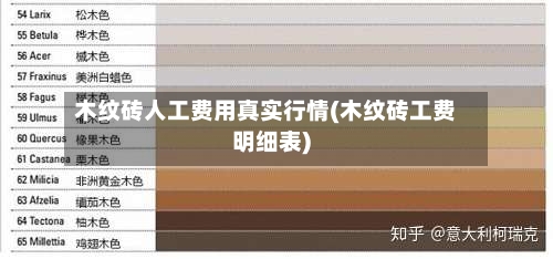 木纹砖人工费用真实行情(木纹砖工费明细表)-第2张图片