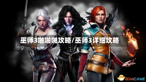 巫师3啪啪啪攻略/巫师3详细攻略
