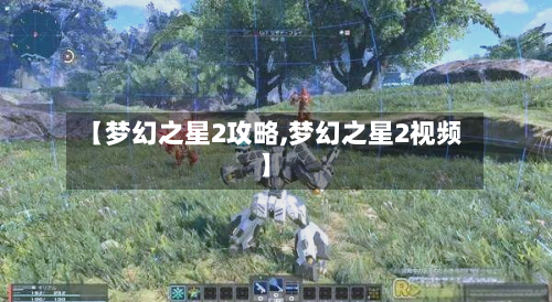 【梦幻之星2攻略,梦幻之星2视频】-第2张图片