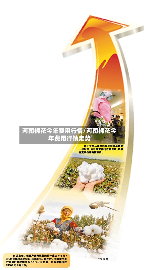 河南棉花今年费用行情/河南棉花今年费用行情走势-第2张图片