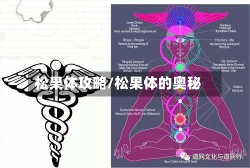 松果体攻略/松果体的奥秘