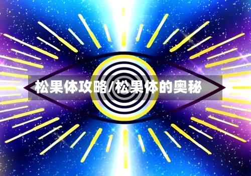 松果体攻略/松果体的奥秘-第3张图片