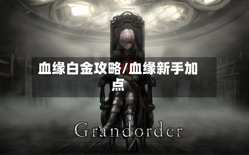 血缘白金攻略/血缘新手加点-第3张图片