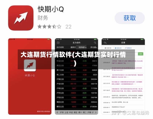 大连期货行情软件(大连期货实时行情)