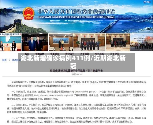 湖北新增确诊病例411例/近期湖北新冠
