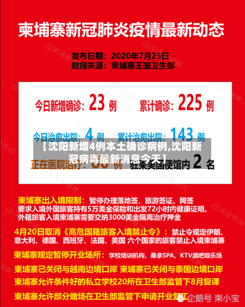 【沈阳新增4例本土确诊病例,沈阳新冠病毒最新消息今天】
