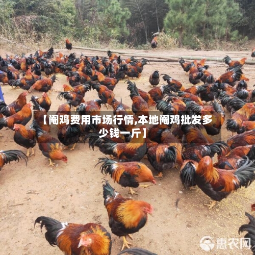 【阉鸡费用市场行情,本地阉鸡批发多少钱一斤】-第2张图片