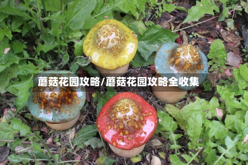 蘑菇花园攻略/蘑菇花园攻略全收集-第3张图片