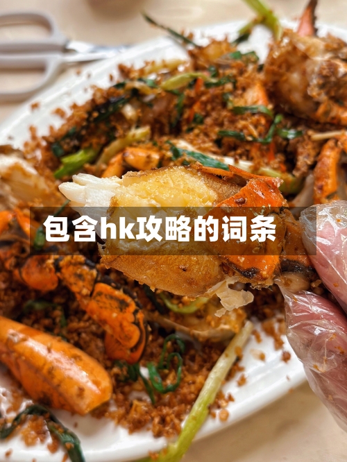 包含hk攻略的词条