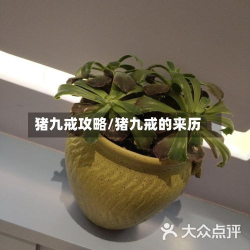 猪九戒攻略/猪九戒的来历