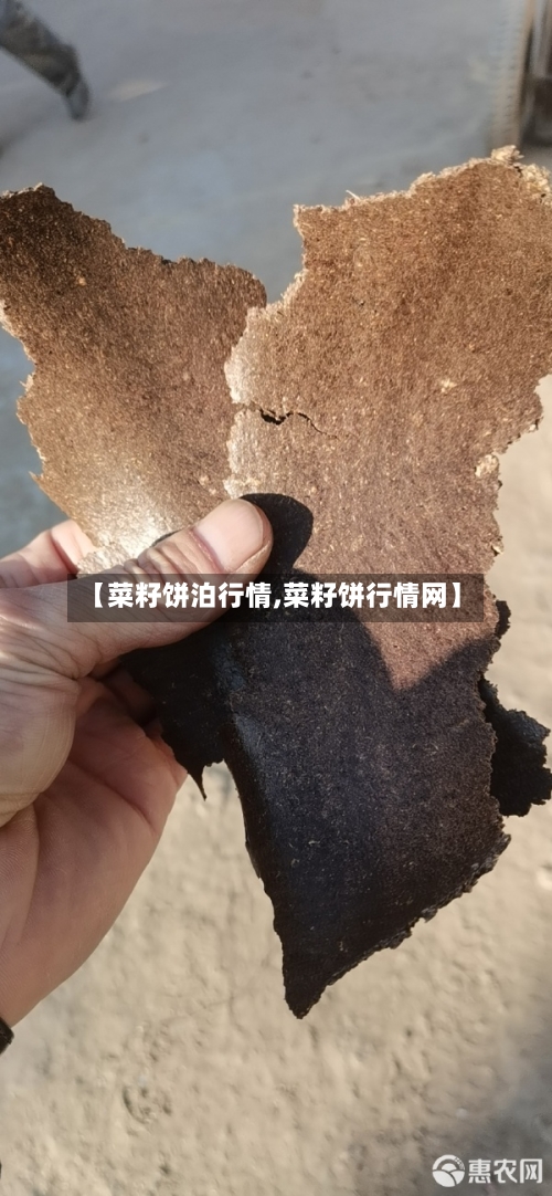 【菜籽饼泊行情,菜籽饼行情网】