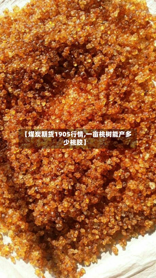 【煤炭期货1905行情,一亩桃树能产多少桃胶】-第2张图片