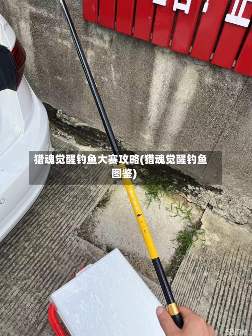 猎魂觉醒钓鱼大赛攻略(猎魂觉醒钓鱼图鉴)-第2张图片