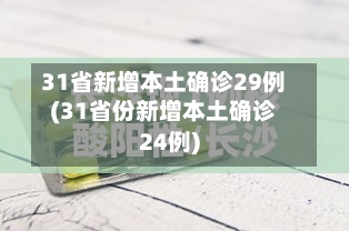 31省新增本土确诊29例(31省份新增本土确诊24例)