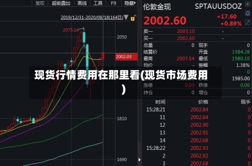 现货行情费用在那里看(现货市场费用)
