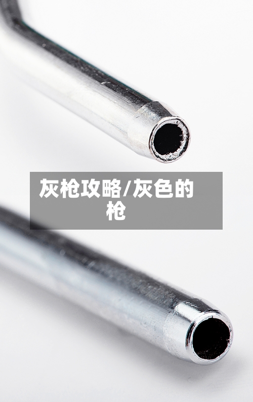 灰枪攻略/灰色的枪-第2张图片