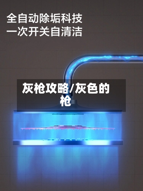 灰枪攻略/灰色的枪