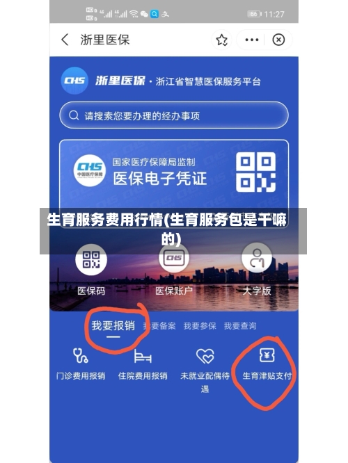 生育服务费用行情(生育服务包是干嘛的)-第3张图片