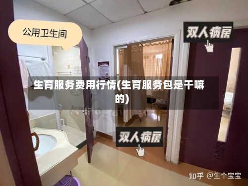 生育服务费用行情(生育服务包是干嘛的)-第2张图片
