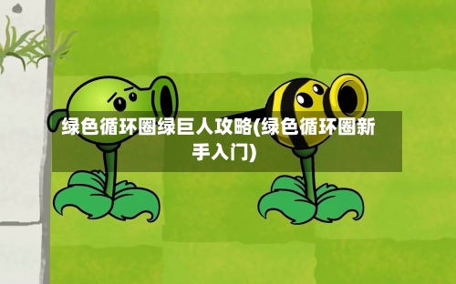 绿色循环圈绿巨人攻略(绿色循环圈新手入门)
