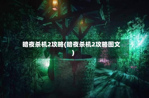 暗夜杀机2攻略(暗夜杀机2攻略图文)
