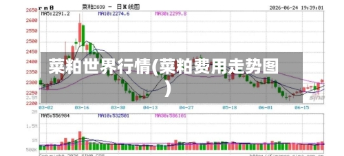 菜粕世界行情(菜粕费用走势图)-第2张图片