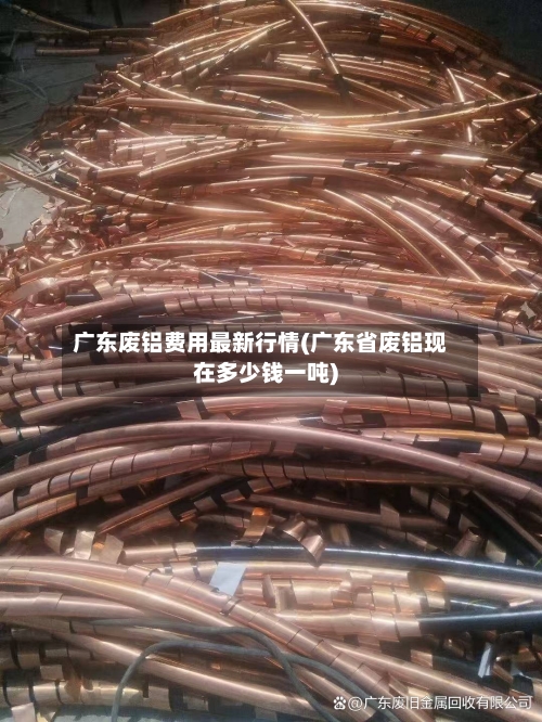 广东废铝费用最新行情(广东省废铝现在多少钱一吨)