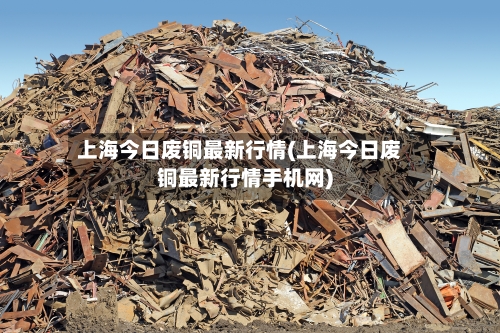 上海今日废铜最新行情(上海今日废铜最新行情手机网)-第2张图片