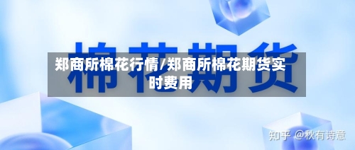 郑商所棉花行情/郑商所棉花期货实时费用