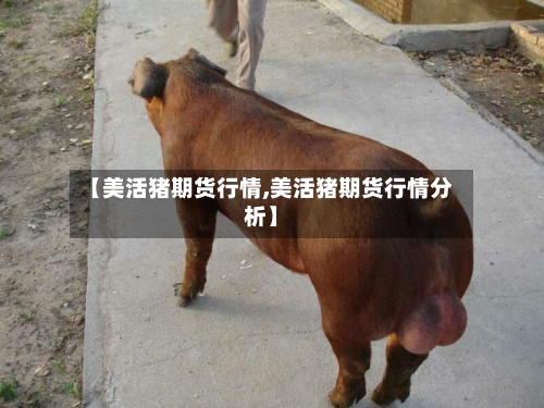 【美活猪期货行情,美活猪期货行情分析】-第2张图片