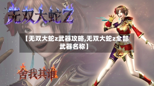 【无双大蛇z武器攻略,无双大蛇z全部武器名称】