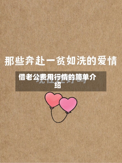 借老公费用行情的简单介绍-第2张图片