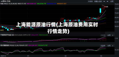 上海能源原油行情(上海原油费用实时行情走势)