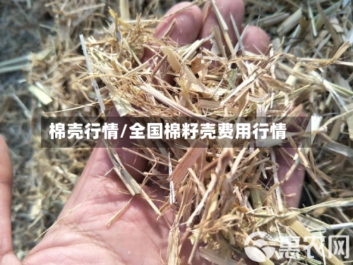 棉壳行情/全国棉籽壳费用行情