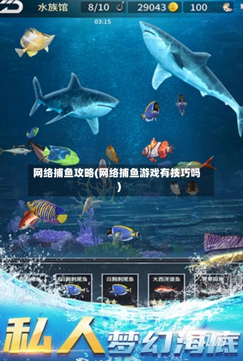 网络捕鱼攻略(网络捕鱼游戏有技巧吗)-第2张图片