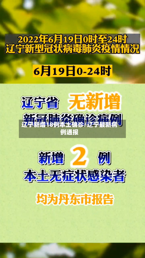辽宁新增18例本土确诊/辽宁最新病例通报-第2张图片