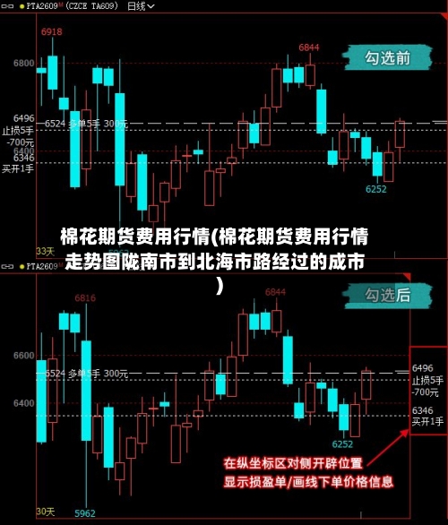 棉花期货费用行情(棉花期货费用行情走势图陇南市到北海市路经过的成市)