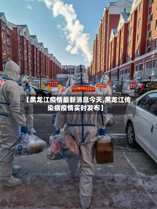 【黑龙江疫情最新消息今天,黑龙江传染病疫情实时发布】-第2张图片