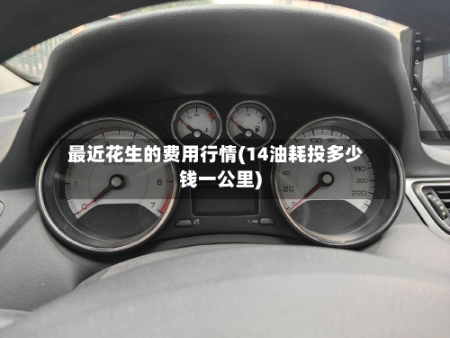 最近花生的费用行情(14油耗投多少钱一公里)