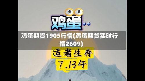 鸡蛋期货1905行情(鸡蛋期货实时行情2609)-第2张图片