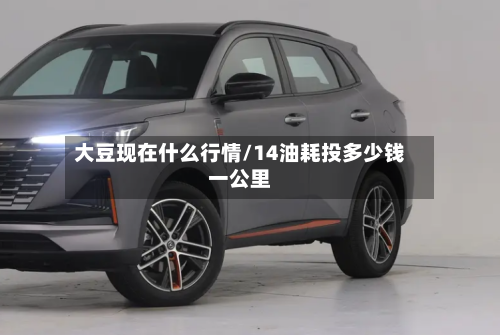 大豆现在什么行情/14油耗投多少钱一公里-第3张图片