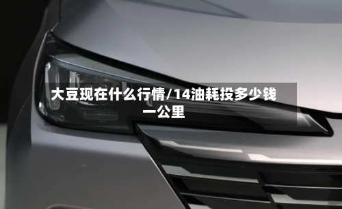 大豆现在什么行情/14油耗投多少钱一公里-第2张图片