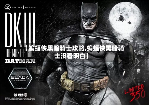 【蝙蝠侠黑暗骑士攻略,蝙蝠侠黑暗骑士没看明白】-第3张图片
