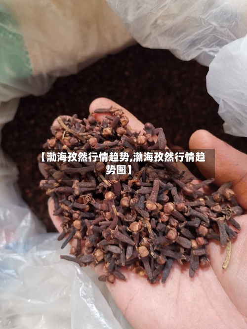 【渤海孜然行情趋势,渤海孜然行情趋势图】-第2张图片