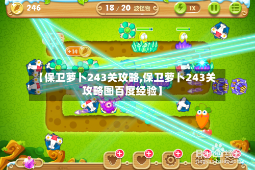 【保卫萝卜243关攻略,保卫萝卜243关攻略图百度经验】-第2张图片