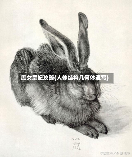 庶女皇妃攻略(人体结构几何体速写)